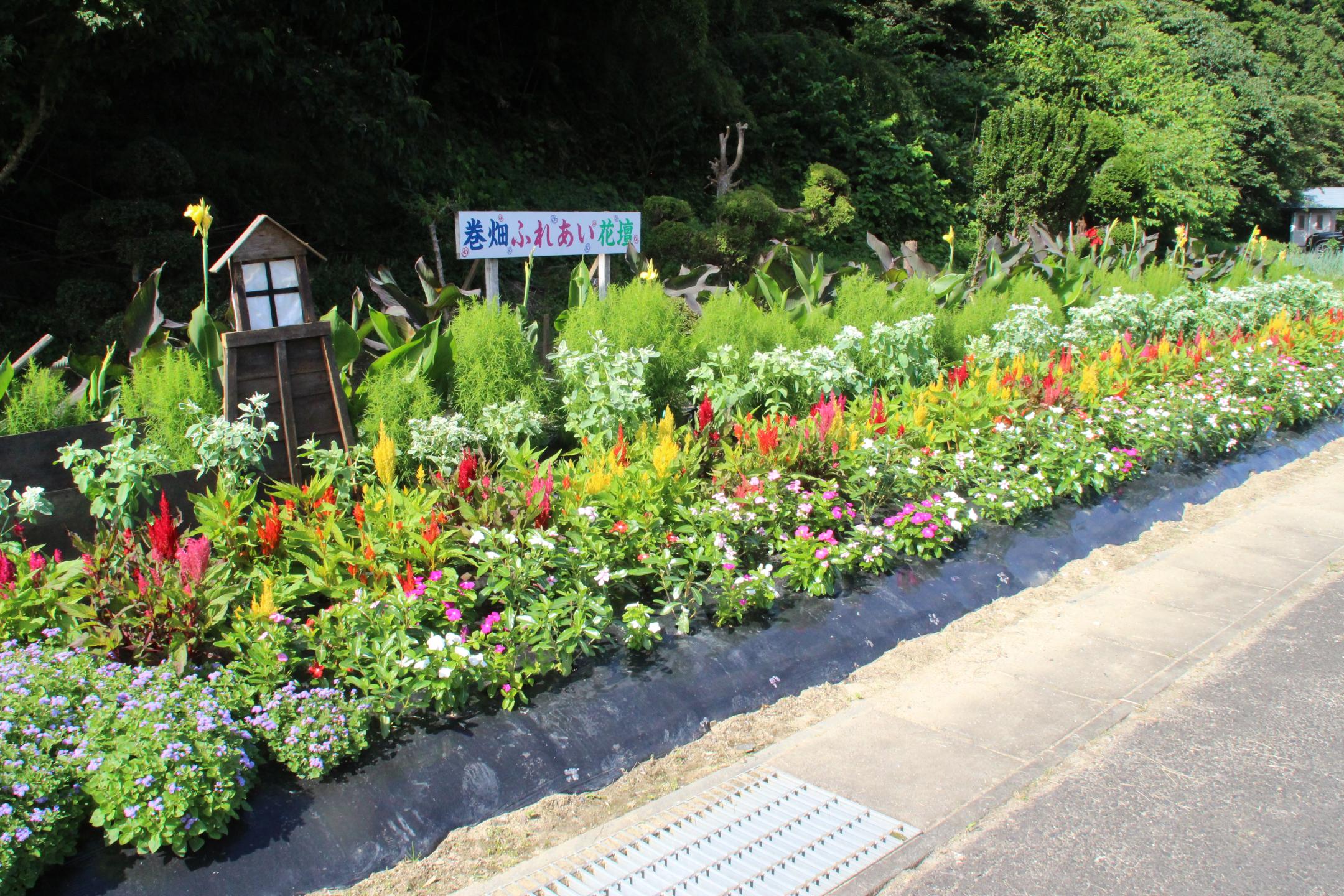 一般花壇部門 巻畑自治会社会部（川崎）